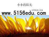 《小小的阳光》ppt课件1
