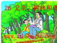 《父亲、树林和鸟》ppt课件3